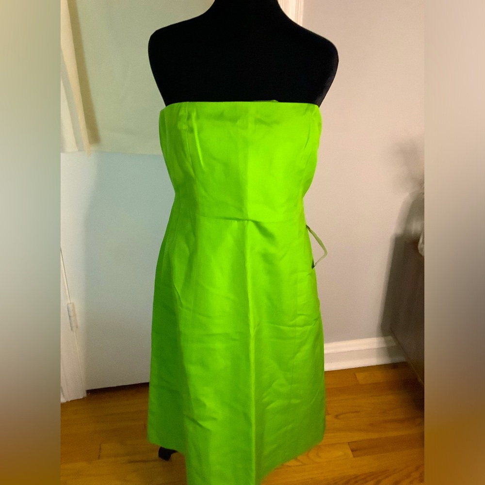 J. Crew Tube Dress